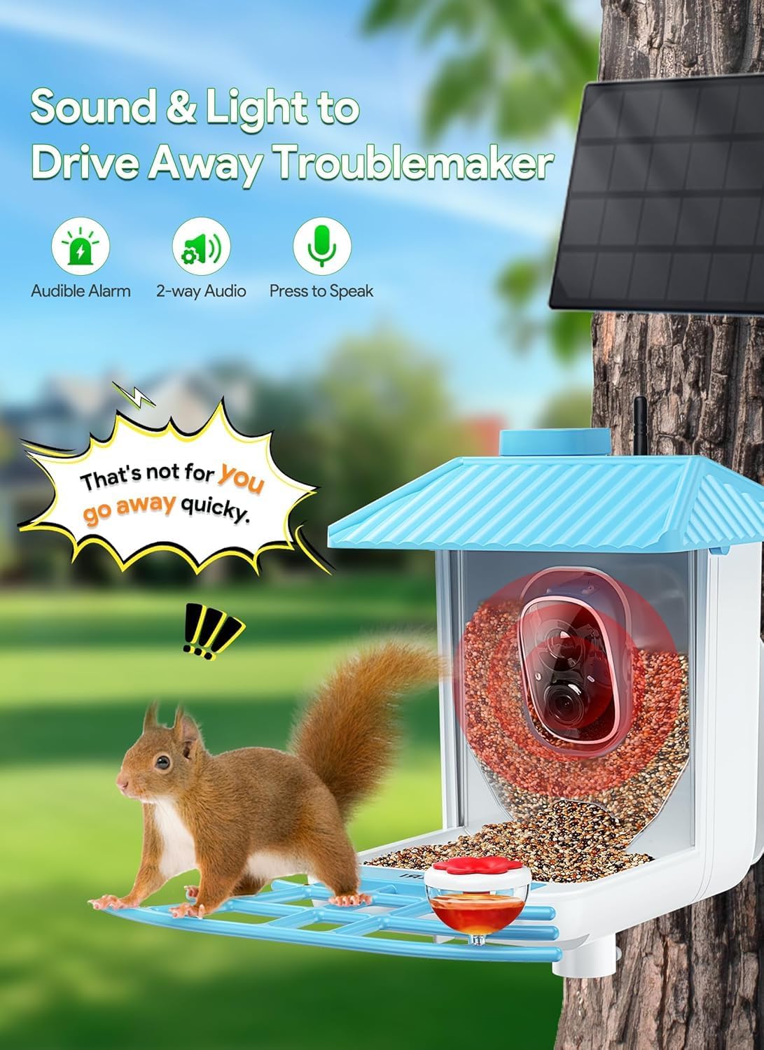 Osoeri Bird Feeder with Camera - Solar Smart Bird Feeder with AI Identify, 1080P HD Auto Capture Birds Video, Real-Time Alerts, Gifts for Family and Friends, 2.4GHz WiFi