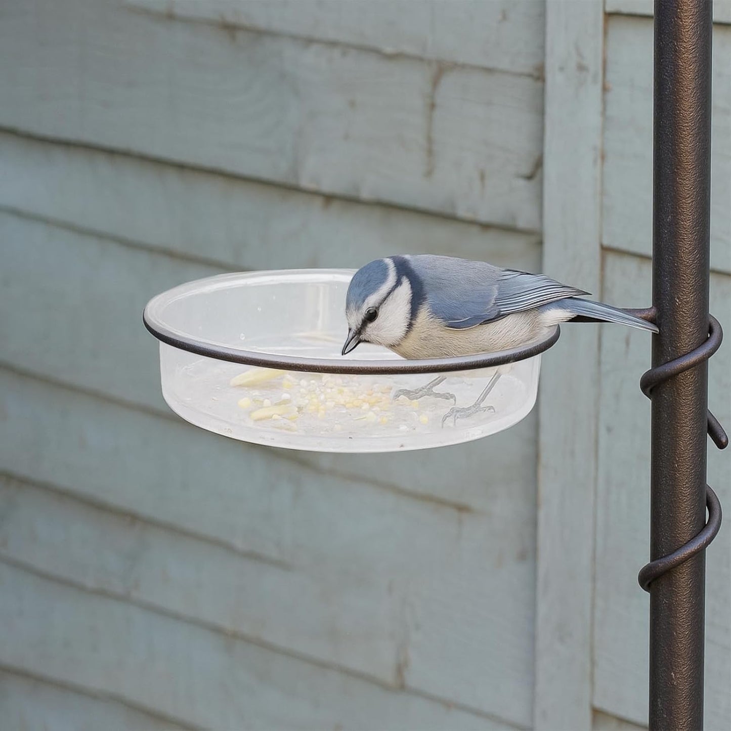 2 Pcs Plastic Round Bird Feeders Water Bowls Birdbath Water Dish Wild Birds Seed Feeder Tray Replacement Feeding Station Bath Tray Accessories Perfect for attracting Birds(White)