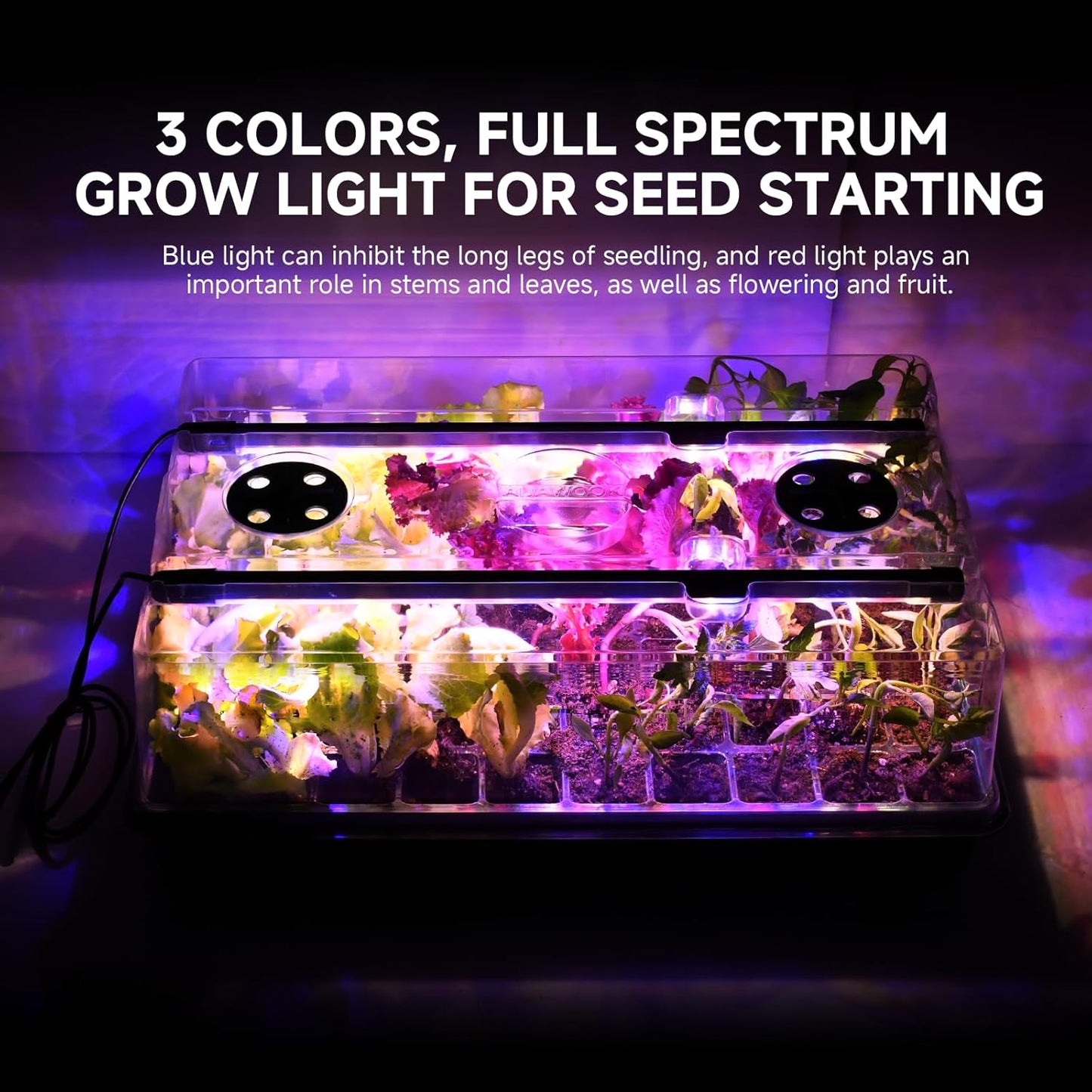 Seed Starter Tray, Seed Starter Kit with Grow Lights, Color Change Gro