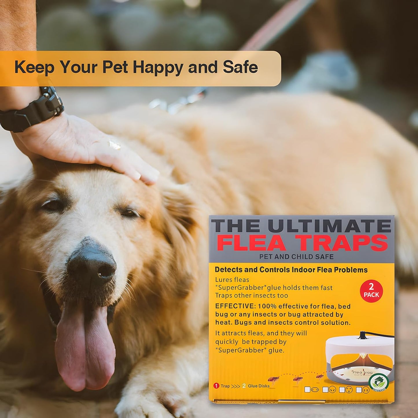 Flea Traps for Inside Your Home 2 Packs, Flea Trap Indoor Pest Control