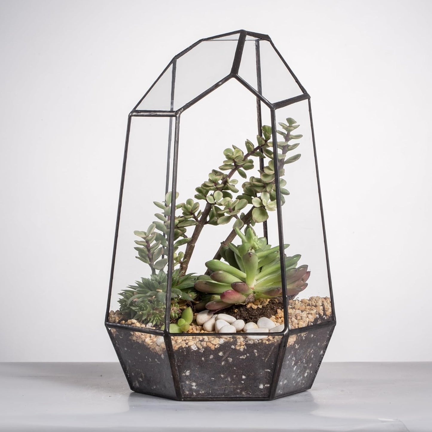 NCYP No Door Geometric Glass Terrarium Planter for Small Succulent, Small Cacti, Black Irregular Opened Terrarium Pot, Indoor Home Garden Office Tabletop Decor, 6.5" x 5.7" x 9.8" (No Plants)