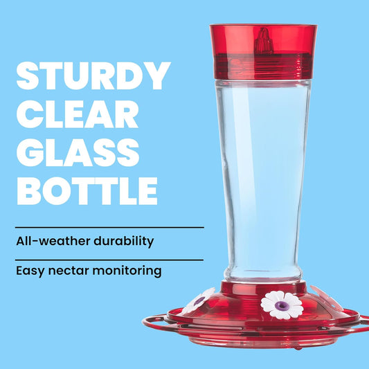 More Birds Bird Health+ Ruby Hummingbird Feeder, Glass Hummingbird Feeders for Outdoors, 4 Feeding Stations, 10 Ounces, Ruby Red