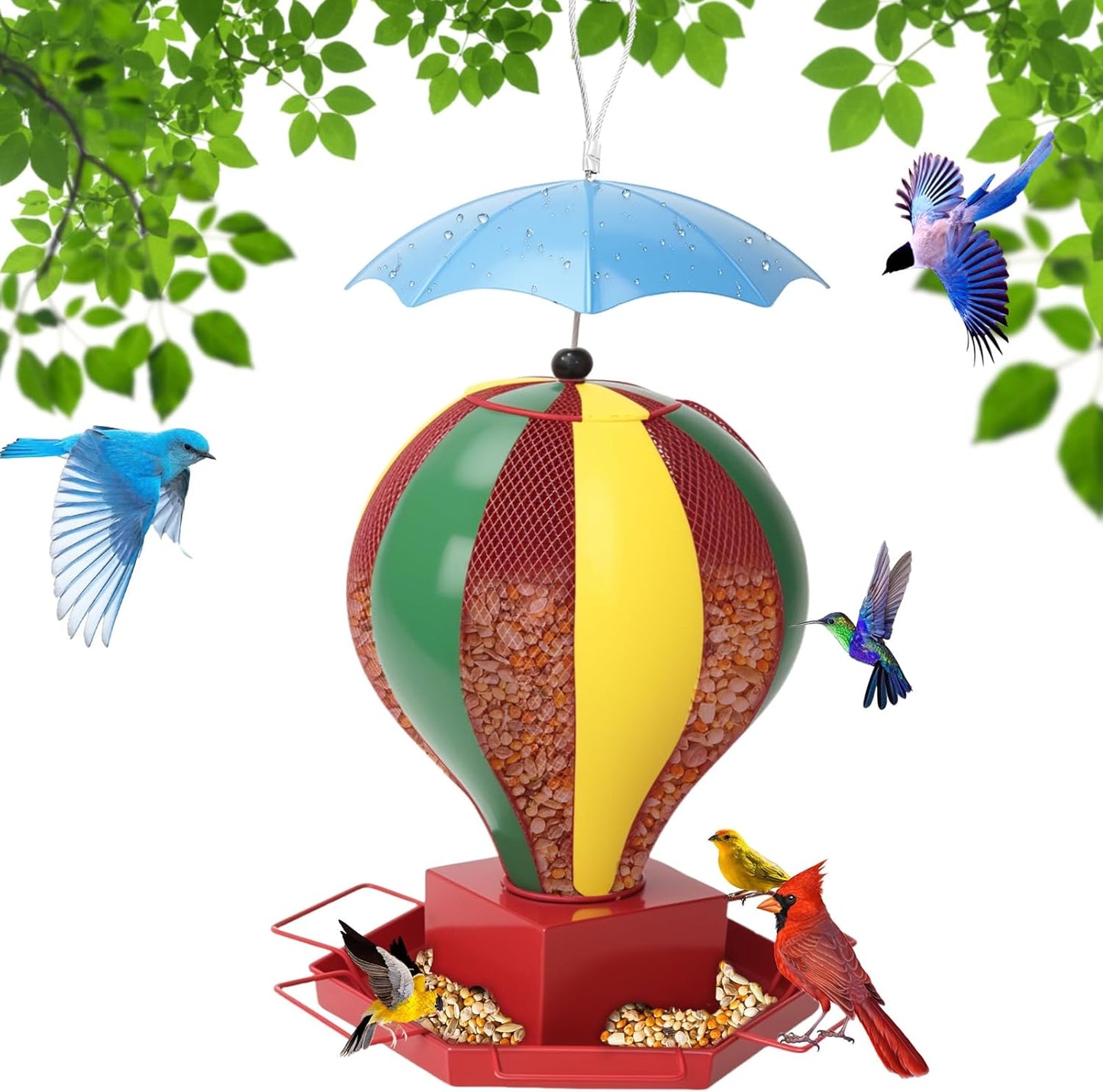 Bird Feeder for Outdoors, Squirrel Proof Outside Hanging Unique Design