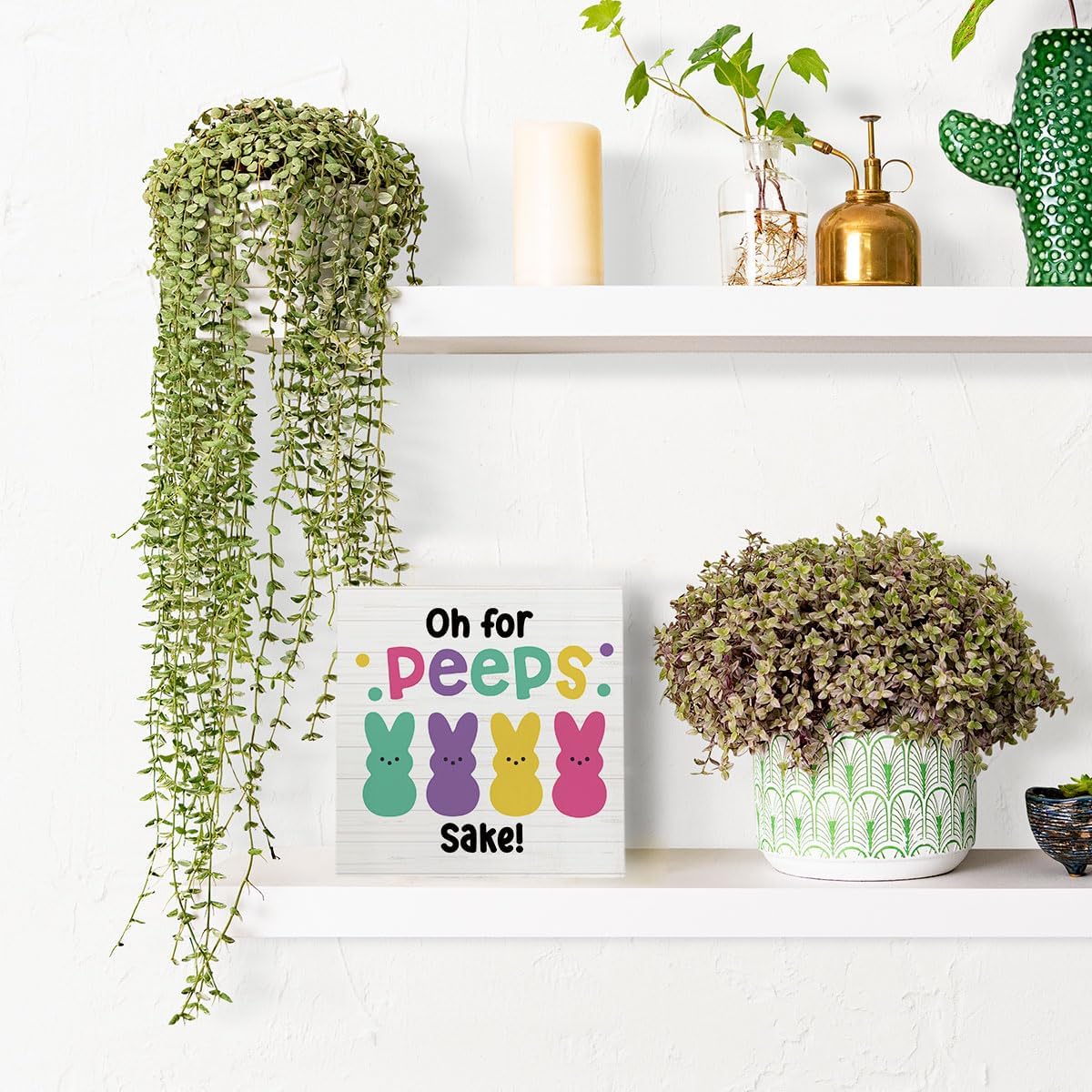 HTBIG Funny Easter Bunny Decor Desk Decor Wooden Box Sign Easter Decor