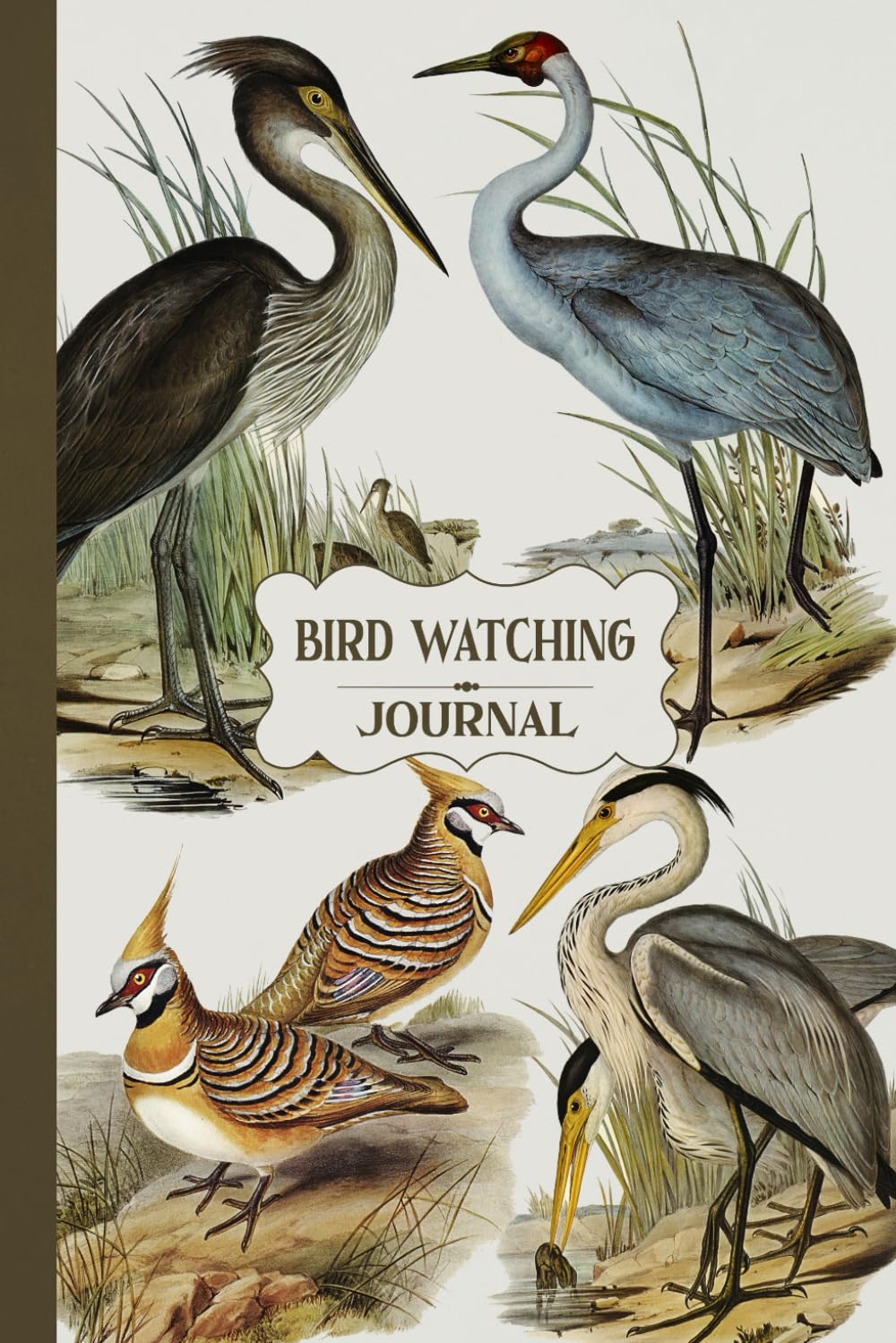 Bird Watching Journal: Avian Adventure Log Book to Document and Track Bird Sightings | Ideal Gift for Nature Lovers and Ornithology Enthusiasts
