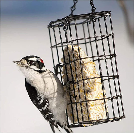 Pack of 2 Bird Suet Cake Feeder for Hanging Outside Metal Garden Yard
