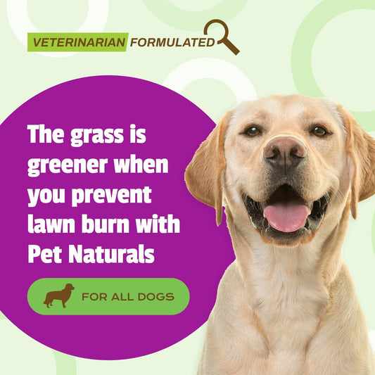 Pet Naturals Lawn Aid Dog Urine Neutralizer for Lawn - 60 Chicken-Flav