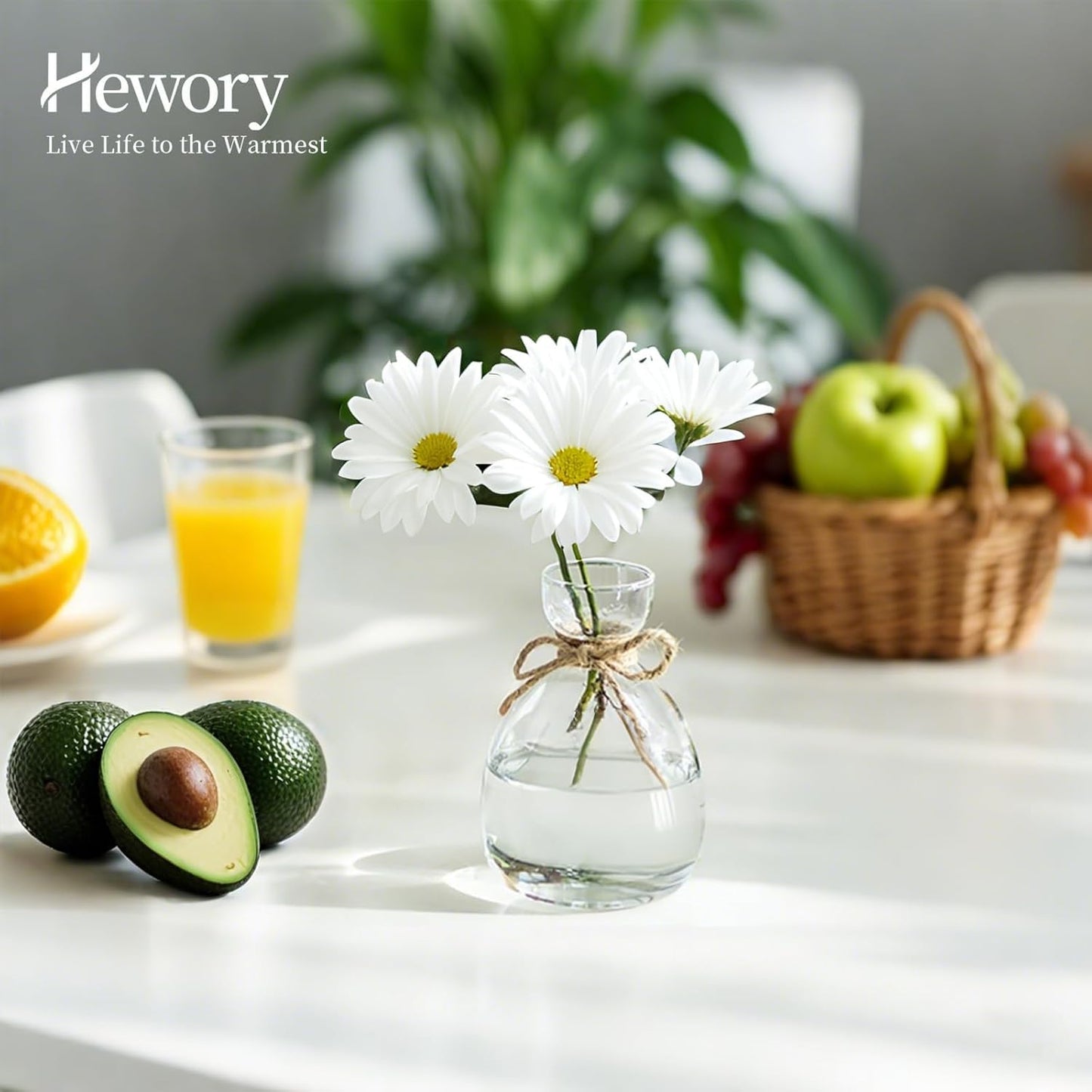 Hewory Avocado Seed Starter Vase: 3 Pcs Glass Avocado Tree Growing Kit Pot for Indoor Plant - Rustic Acorn Vases for Plant Gardening Lovers