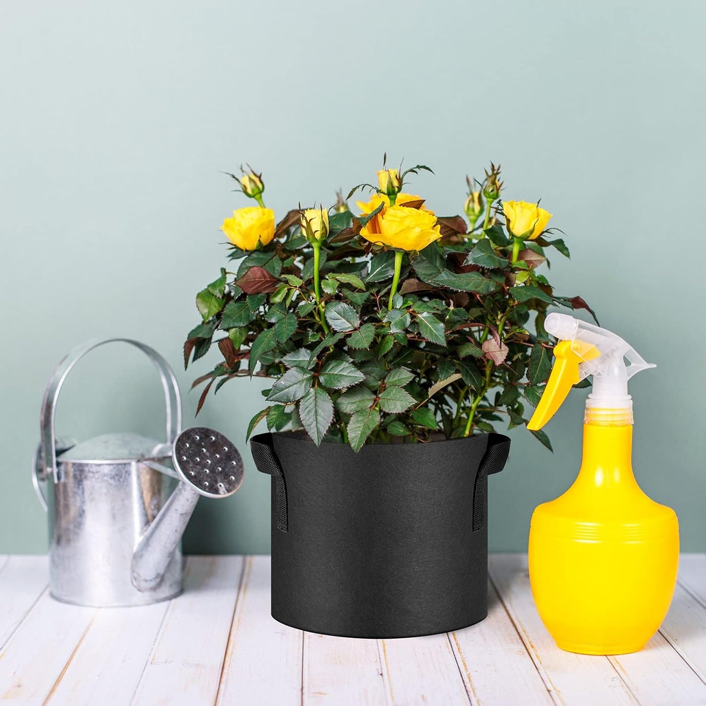 12-Pack 5 Gallon Thickened Non-Woven Grow Bags, Aeration Fabric Pots w