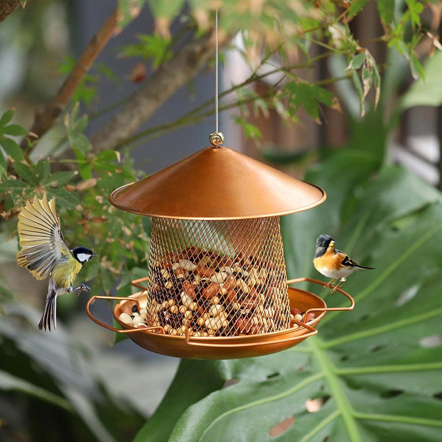 Bird Feeders for Outdoors, Decorative Hangable Small Bird Feeder Stand for Finches, Robins, Sparrows, Canaries, and Budgies, Backyard, Balcony, Patio, and Terrace Decor