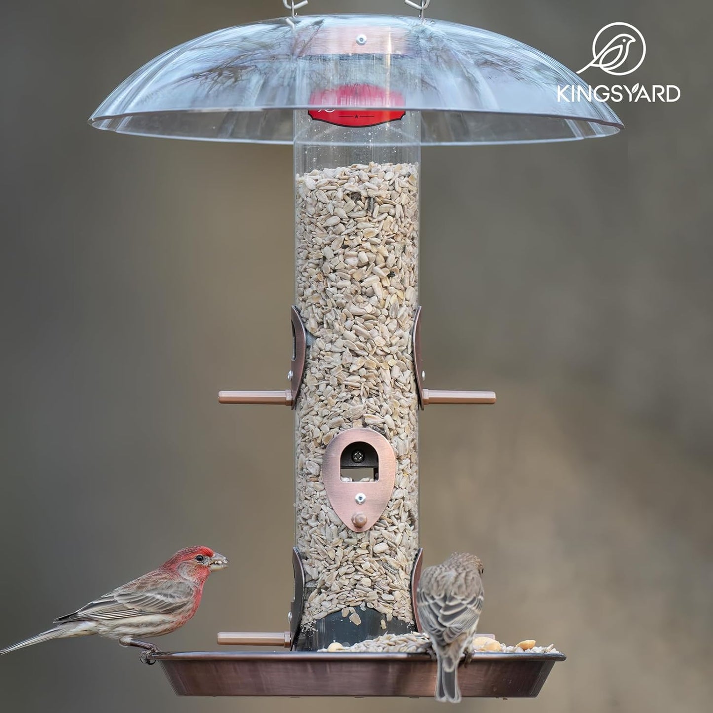Kingsyard Metal Bird Feeders for Outdoors Hanging, Wild Bird Feeder wi