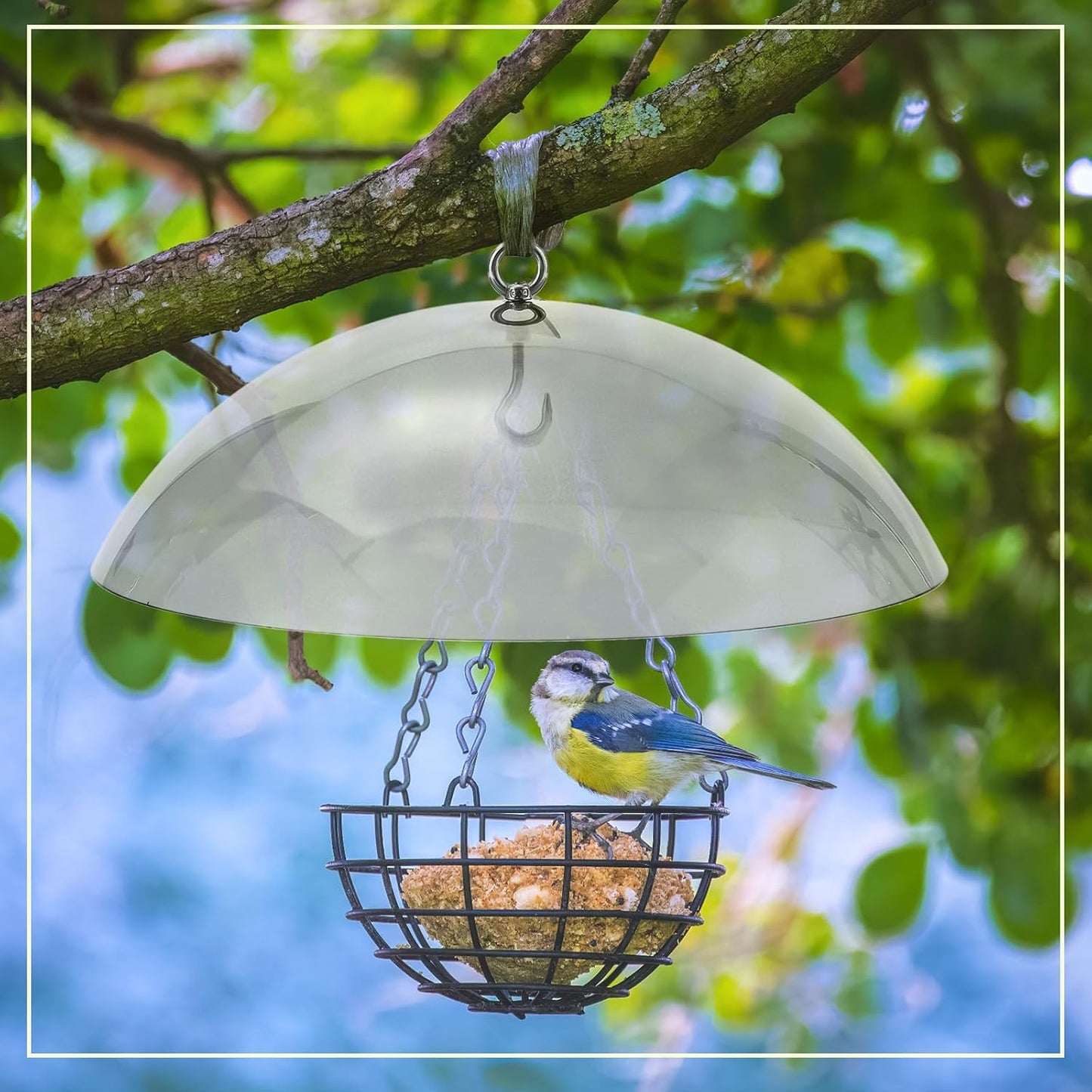 2 Pcs 10 Inch Squirrel Baffles Plastic Bird Feeders Protective Cover Dome Rain Proof with Hooks for Hanging Bird Seed Covers Rain Guards(Clear, Blue)