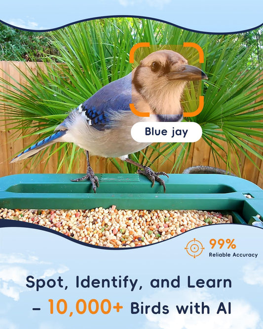 Bird Feeder with Camera, 32MP Photos & 4K Video with Live View, 5GHz/2.4GHz WiFi, AI Identify Birds Species and Instant Arrival Alerts for Bird Lovers