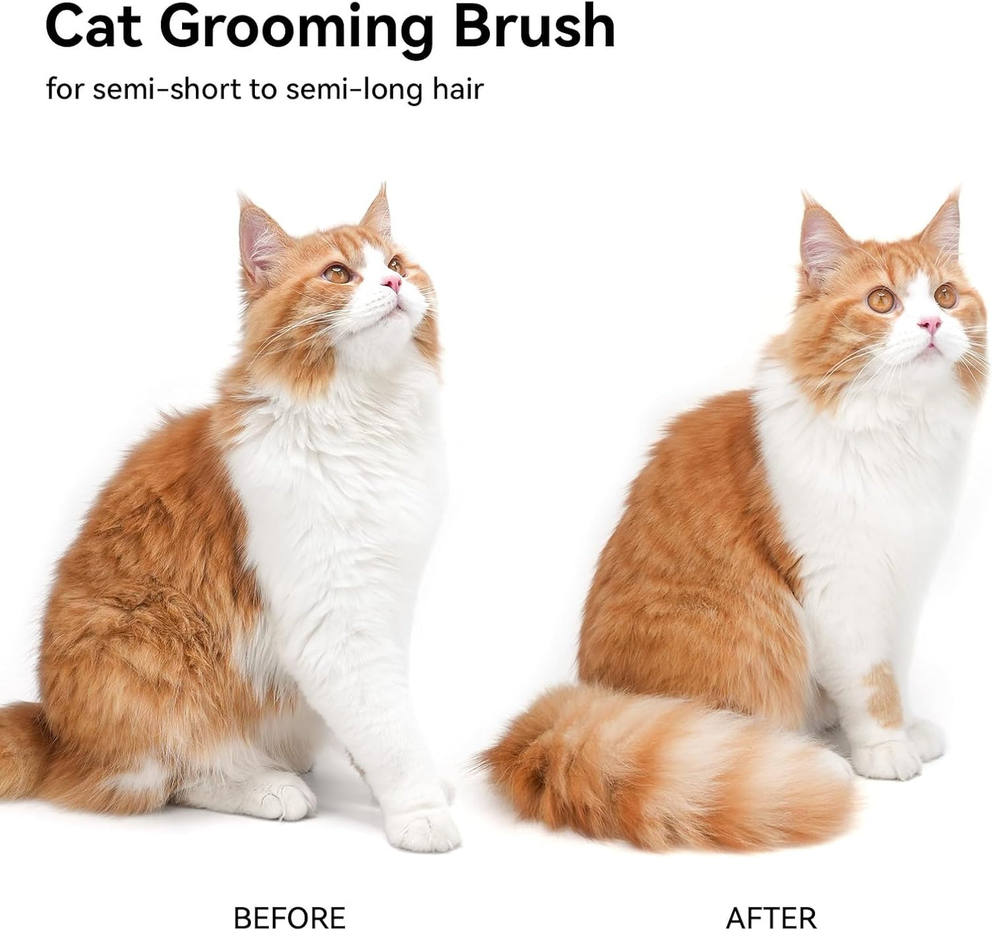 Aumuca Cat Brush for Shedding, Cat Brushes for Indoor Cats, Cat Brush