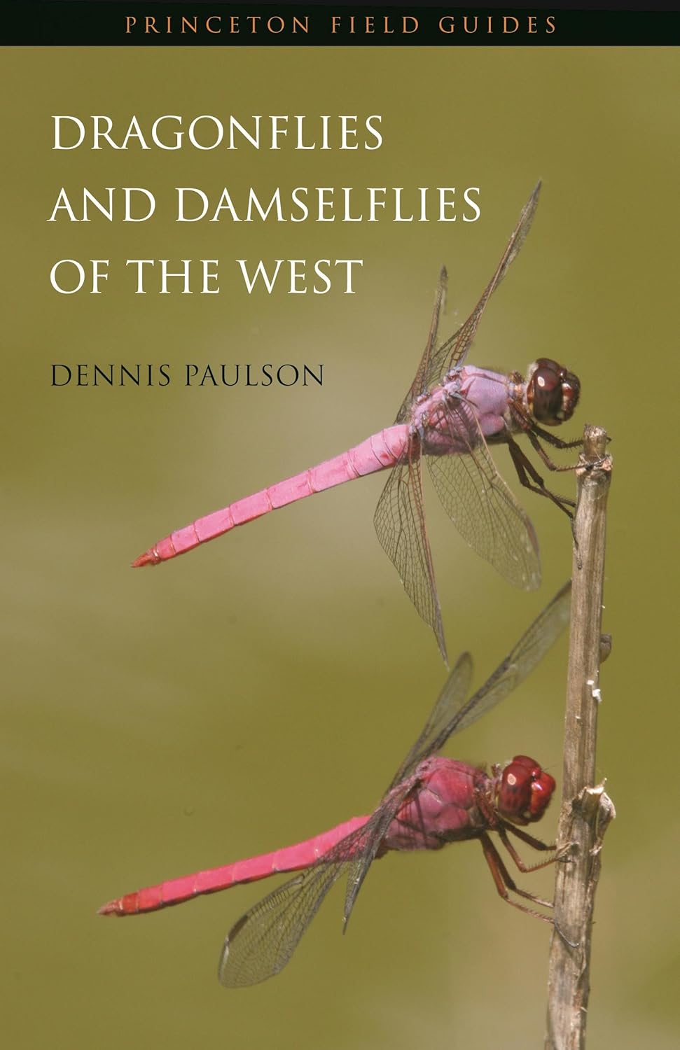 Dragonflies and Damselflies of the West (Princeton Field Guides)