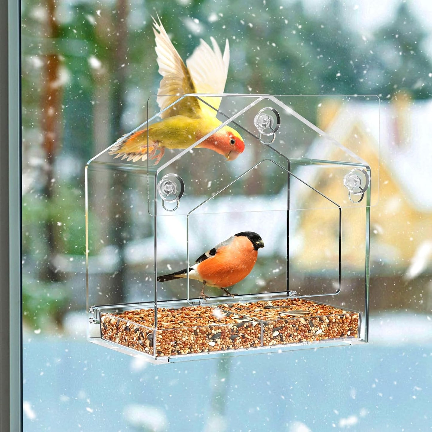 Window Bird Feeder with Strong Suction Cup and Self-Adhesive, Clear Window Birdfeeder for Larger Viewing, Squirrel-Proof Window Bird for Cats Outdoors