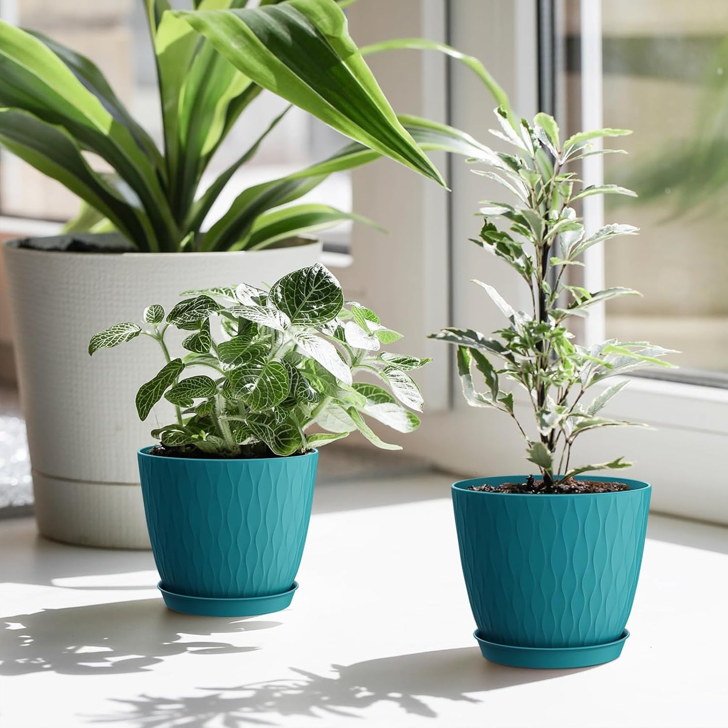 6 inch Plant Pots, 5 Pack Flower Pots with Drainage Holes and Saucers
