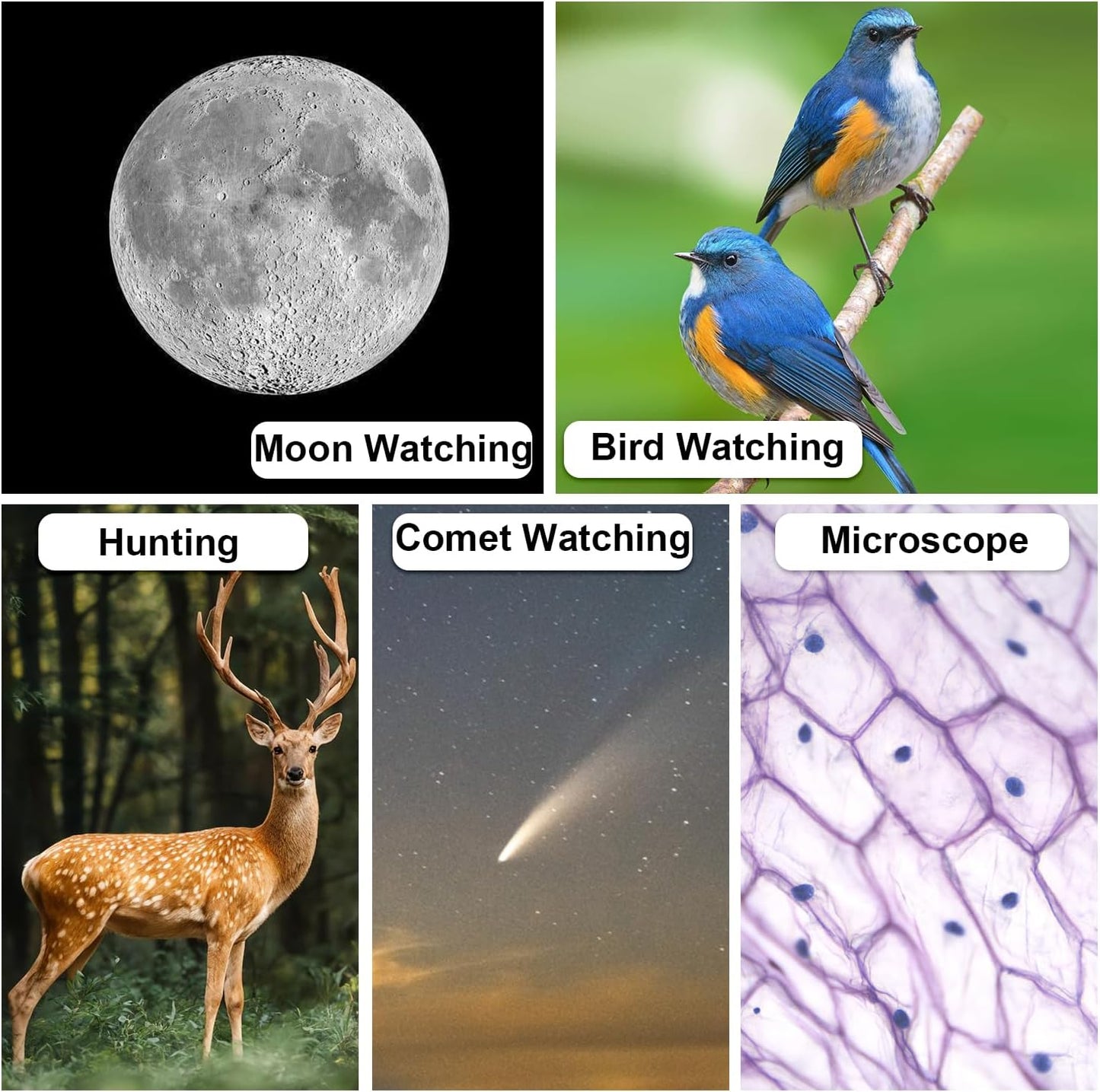 tridaptor - Universal Phone Scope Digiscoping Adapter|High-Precision X
