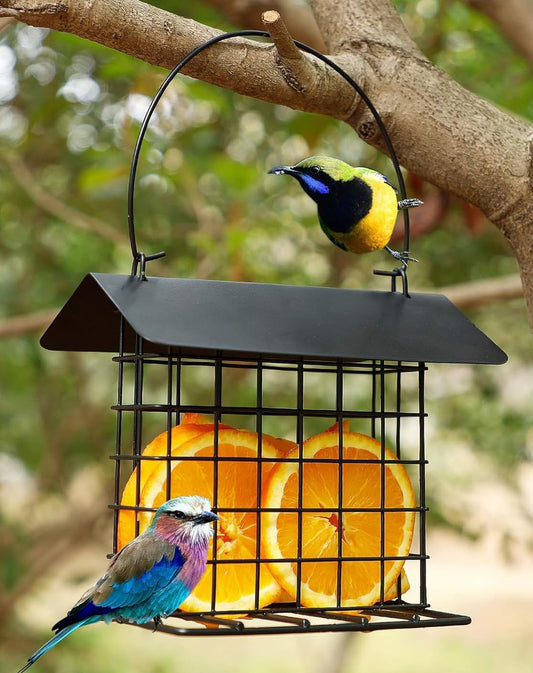 Durable Roof Top Bird Parrot Suet Reusable Feeder Stand for Outside Garden Yard Patio Hanging Metal Suet Cake Holder Squirrel Proof Weatherproof for Wild Hummingbird Woodpecker