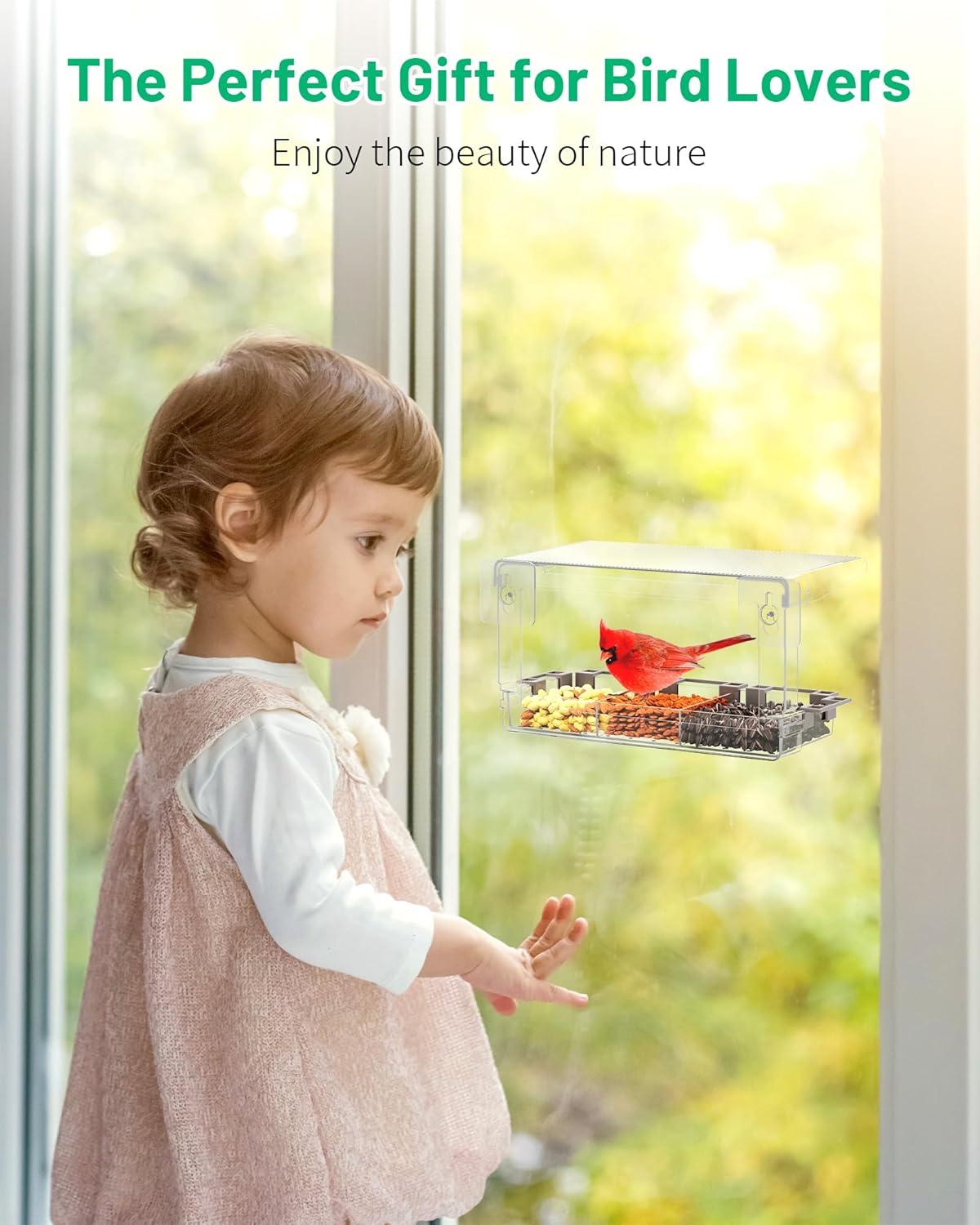 Clear Window Bird Feeder Outdoors - Bird Feeder for Viewing with 5 Perching Stands, Wavy roof, Self-Adhesive Hooks, Drain Holes and Removable Tray, as a Birdhouse, Garden Decor