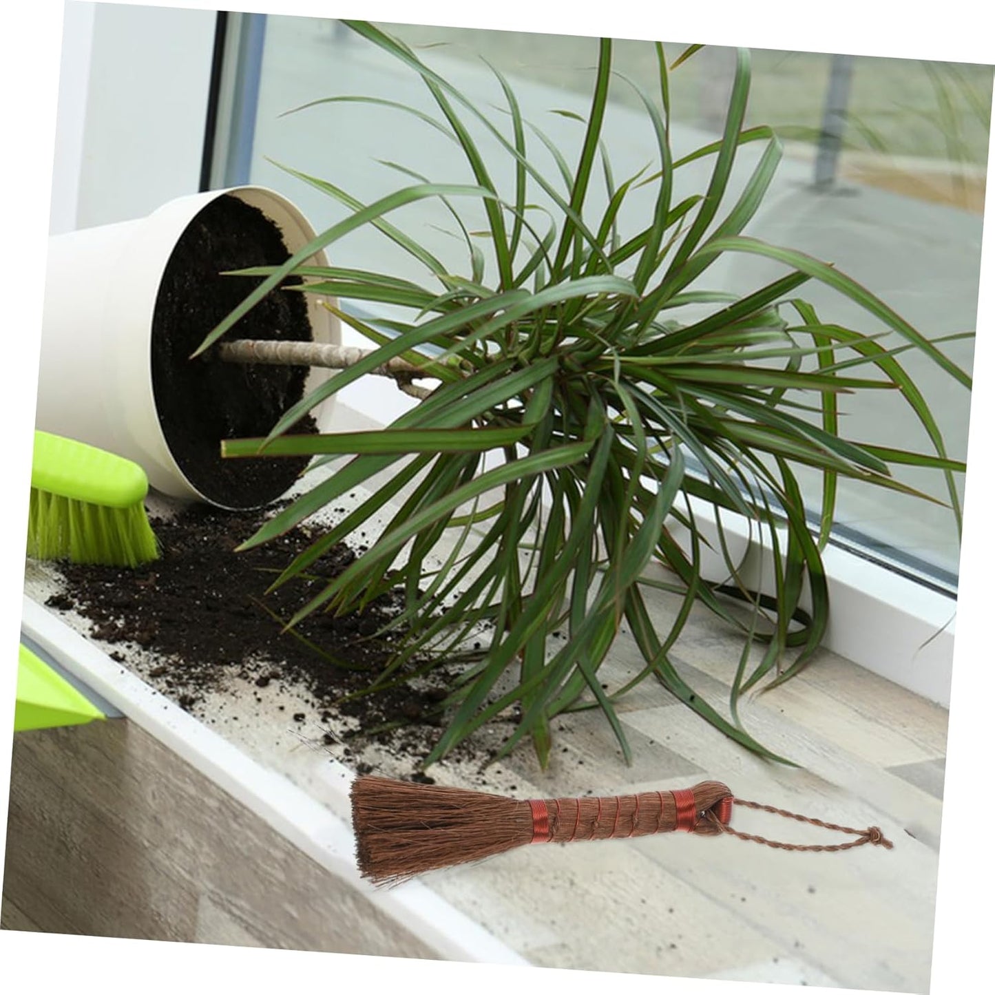 Milisten Gardening Brush Bonsai Cleaning Broom Palm Scrub Brush Multi-