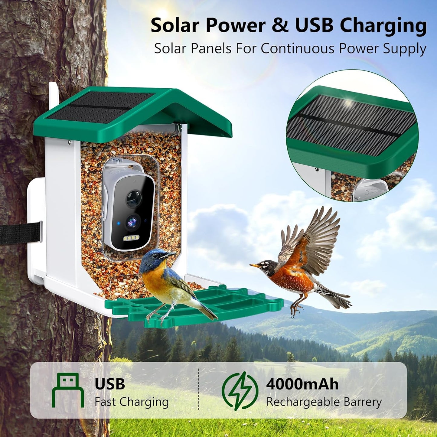 Smart Bird Feeder with Camera, AI Bird Species Identification Solar Po