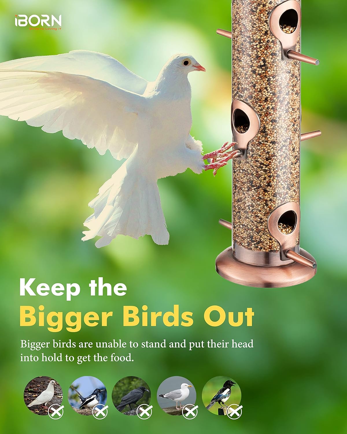 iBorn Metal Bird Feeders Brushed Copper Wild Bird Feeder for Outdoors
