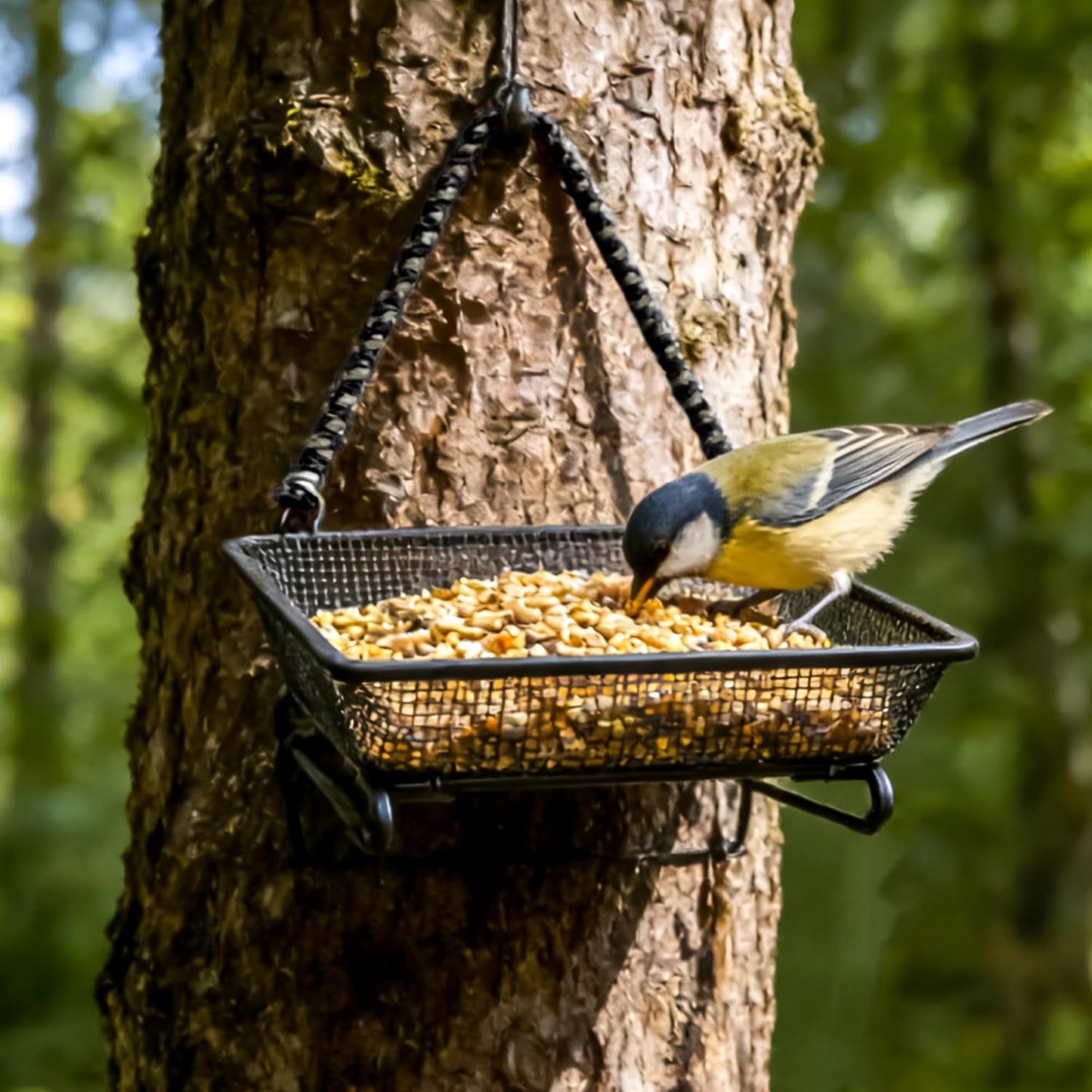Set of 2 Metal Platform Bird Feeder Tray with 4 Fixed Elastic Rope for Outdoor,7 inch Deck Railing Bird Feeder Tray for Balcony, Backyard,Rust Resistant Design for Wild Birds or Squirrels, Square