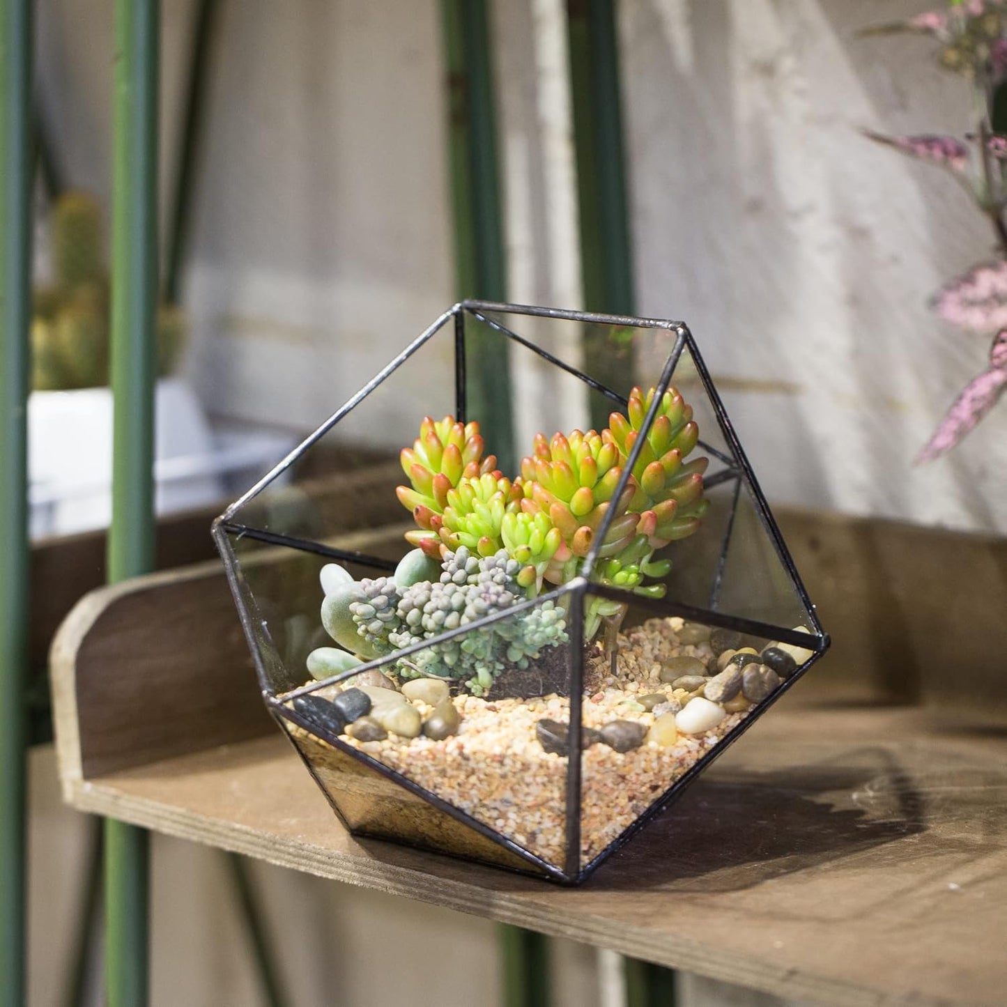 NCYP Opened Geometric Glass Terrarium, 6.69" Bowl Shape Planter for Succulent Plant Cacti, Indoor Balcony Irregular Decor, Garden Miniature Pot, Tabletop Centerpiece (No Plants)