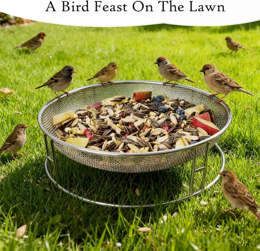 13-Inch Ground Bird Feeder, Stainless Steel Ground Feeding Platform fo