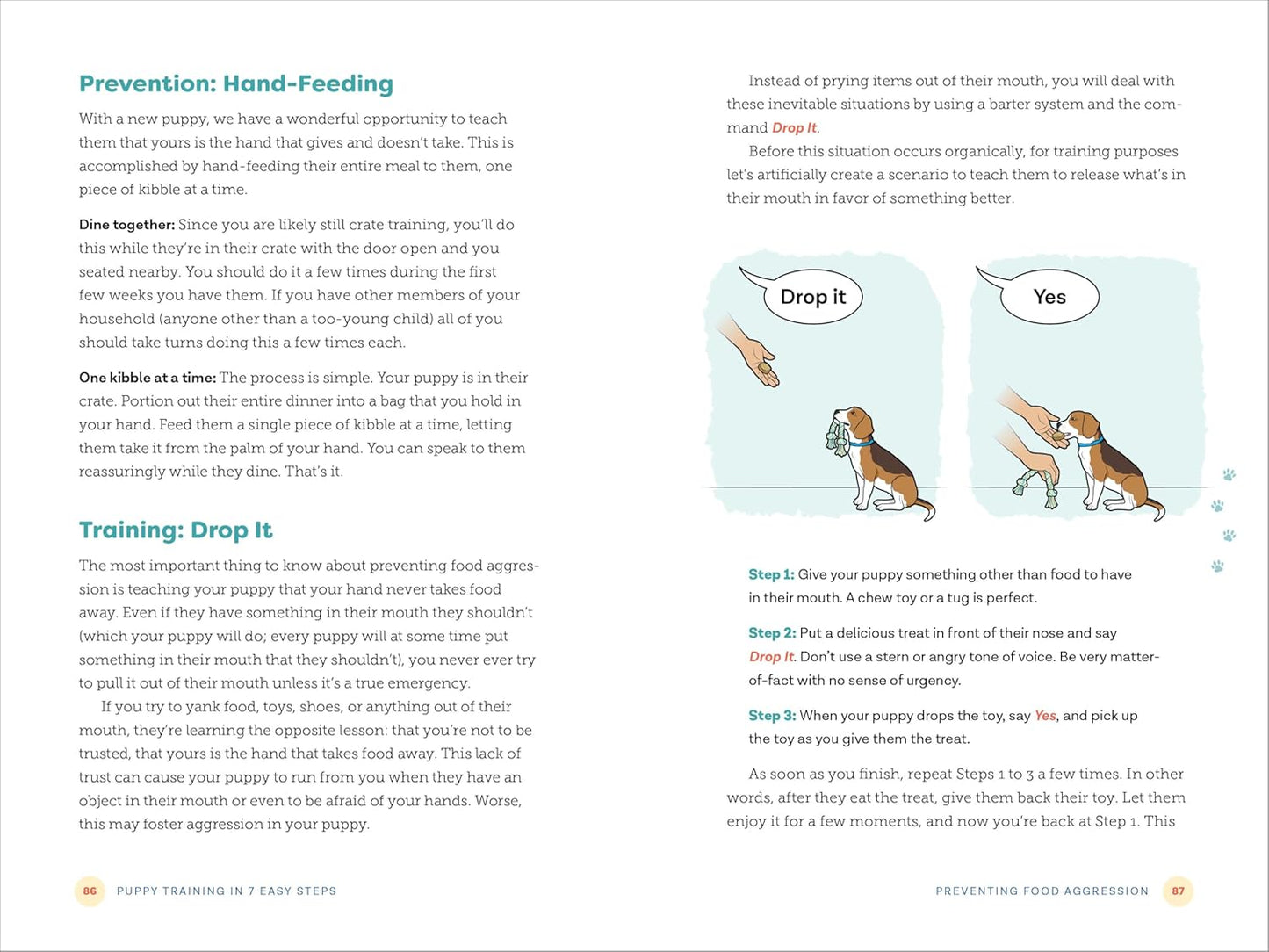 Puppy Training in 7 Easy Steps: Everything You Need to Know to Raise t