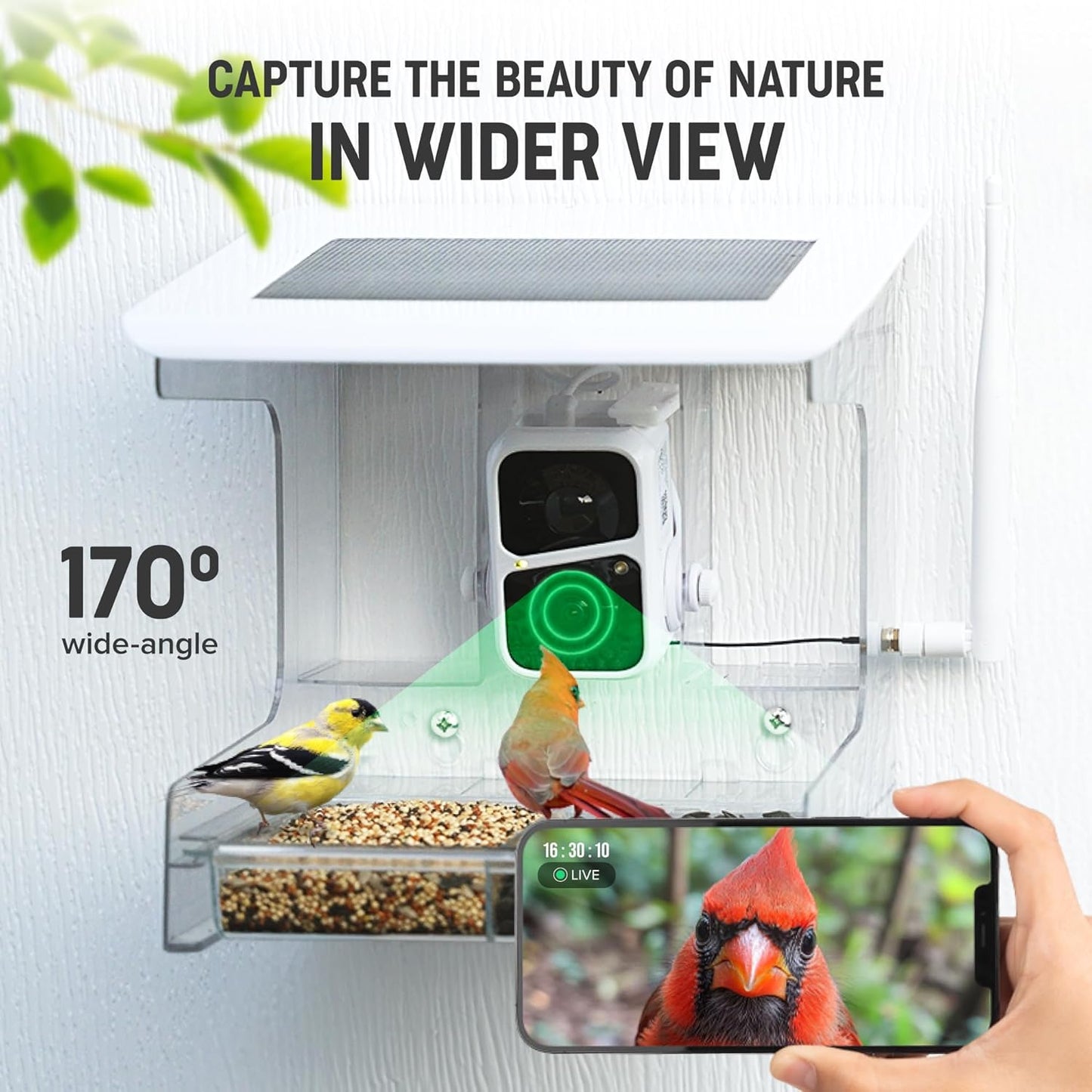 Smart Bird Feeder with Camera – XL Sliding Feed Tray for Effortless Refill – AI Birds ID – 3MEGAPIXEL Images – Video Feeder – Solar-Roof for Bird Lovers