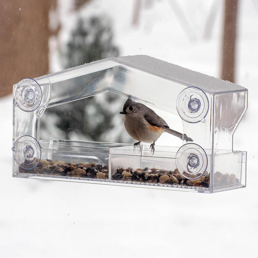 Perky-Pet Clear Outdoor Window Bird Feeder with Strong Suction Cups – 1 Lb Seed Capacity - Perky Pet 347 - Entertaining Bird Feeding - Great Gift Idea, Outdoor Decor
