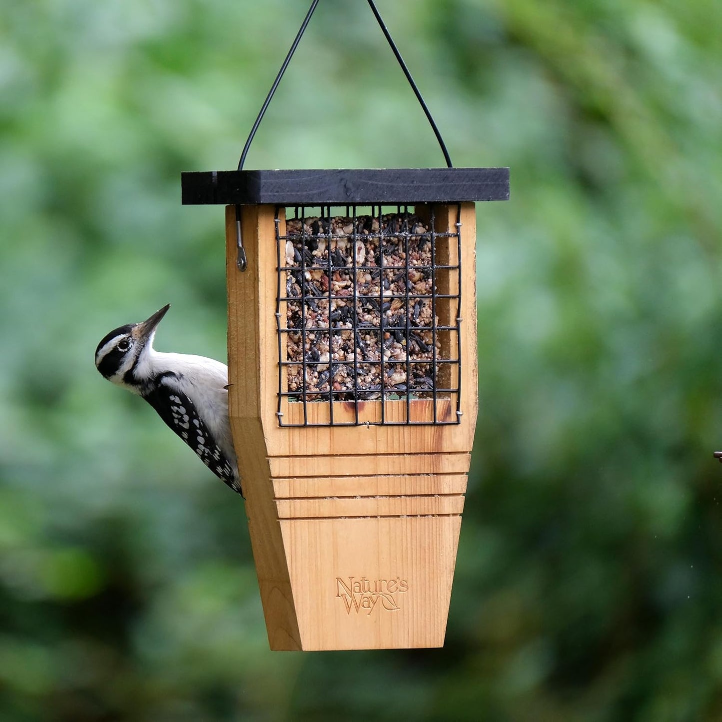 Nature’s Way Cedar Woodpecker Suet Feeder with Tail Support, Heavy-Duty Wood Design, 1 Suet Cake Capacity, Black Weather Guard Roof