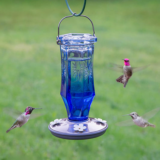 Perky-Pet Sapphire Starburst Vintage Glass Hummingbird Feeder - 16 oz