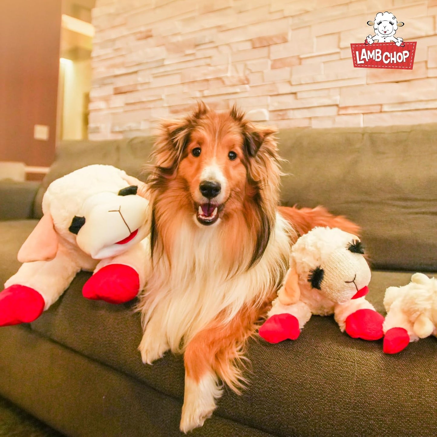 Multipet Lamb Chop Dog Plush Toy - Squeaky Toy for All Dogs - Extra So