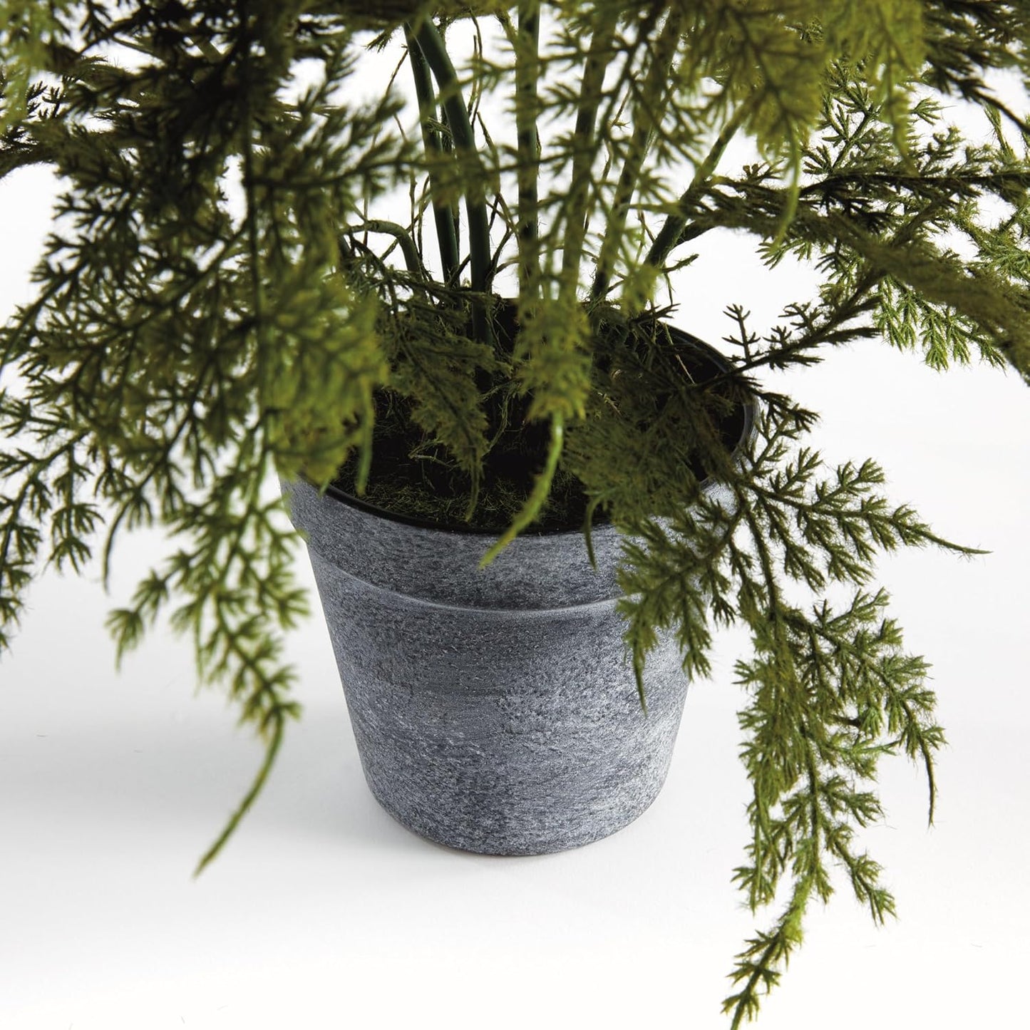 NAPA Home & Garden Plumosa Fern Drop-in 17" Artificial Plant for Interior Use