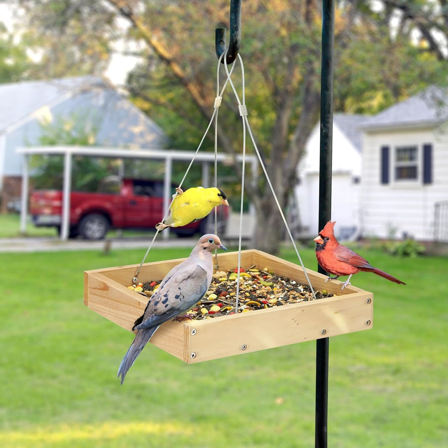 TT Nature Platform Bird Feeder for Outdoor, Eco-Friendly Wood Hanging