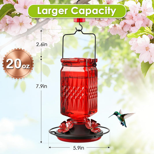 20oz Glass Hummingbird Feeder for Outdoors Hanging, Bird Nectar Feeder