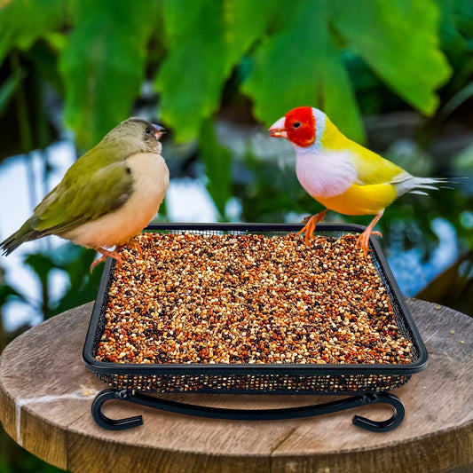 MIXXIDEA Ground Bird Feeder Tray, Metal Platform Mesh Seed Tray for Bird Feeders, Great Attracting Garden Yard Decoration for Wild Birds Squirrels Dove (1 Pack)