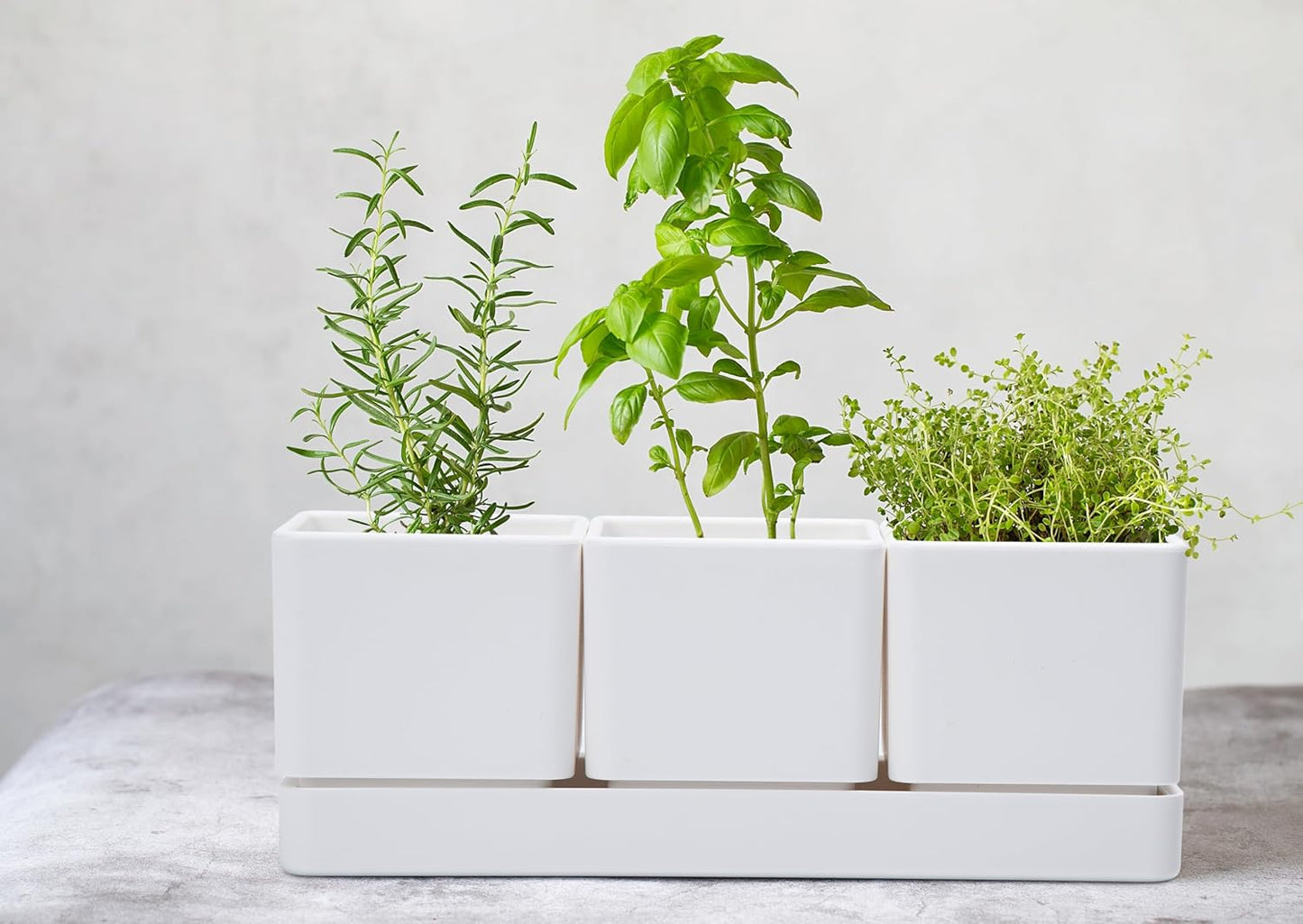 D'vine Dev Herb Garden Planter Set, Plastic Plant Pots with Drainage and Saucer, Indoor Succulent Cactus Vegetable Pot for Windowsill, Garden Balcony, White, Set of 1, 76-V-A-1