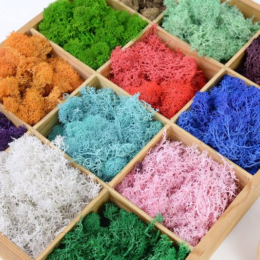 QueenBox® 40g Multi-Color Artificial Moss Fake Green Lichen Plants Imitation Decorative Moss for Home Wall Garden Outdoor, Reddish Brown