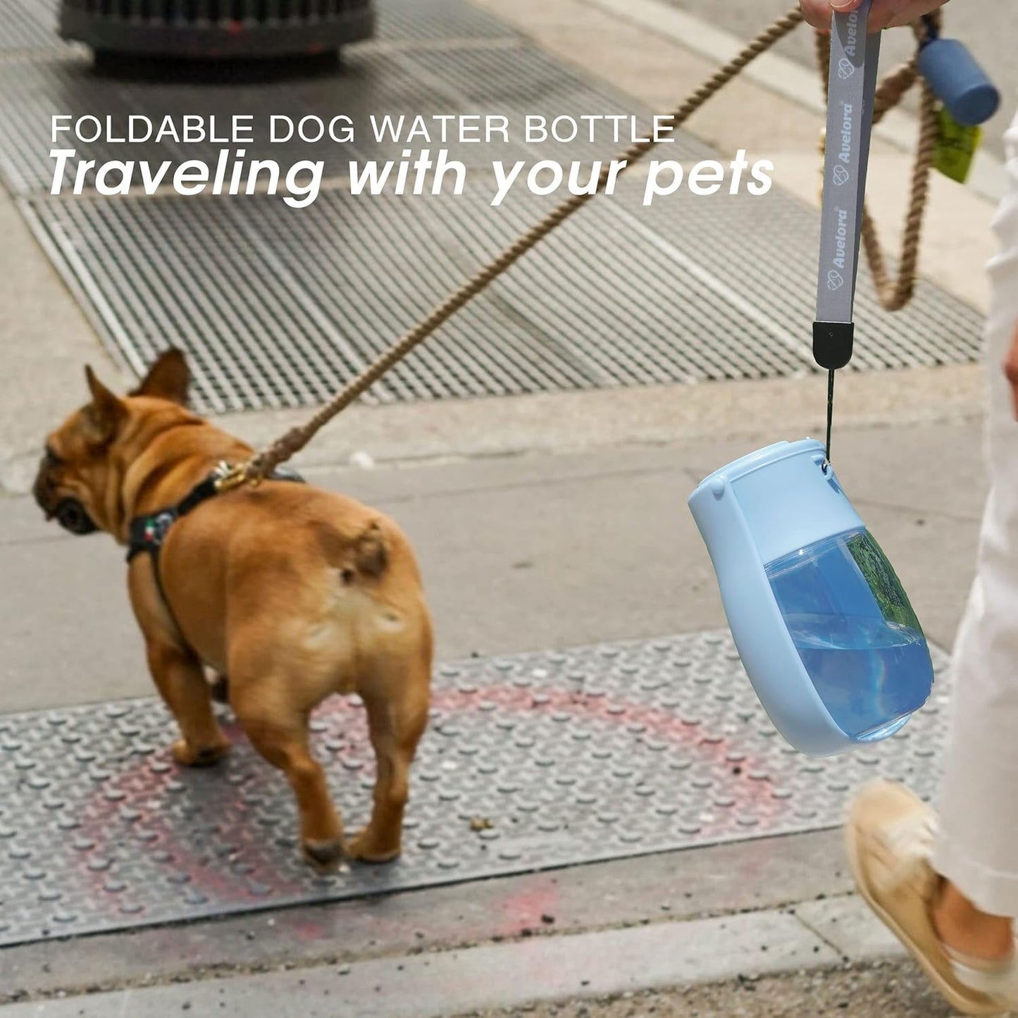 Foldable Dog Water Bottle, Portable Water Dispenser for Cat, Rabbit, P