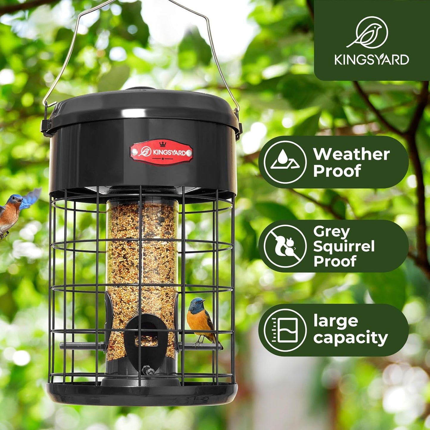 Kingsyard Upgraded Squirrel Proof Caged Bird Feeder for Outdoor Hangin