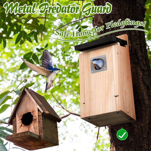 Dreyoo Cedar Bluebird Box Houses for Outside, 1-1/2'' Entrance Hole Wooden Bird Houses with Metal Guard, Secure Latch, Fledgling Grooves, Air Vents for Bluebird Wren Swallow(3 Pack)