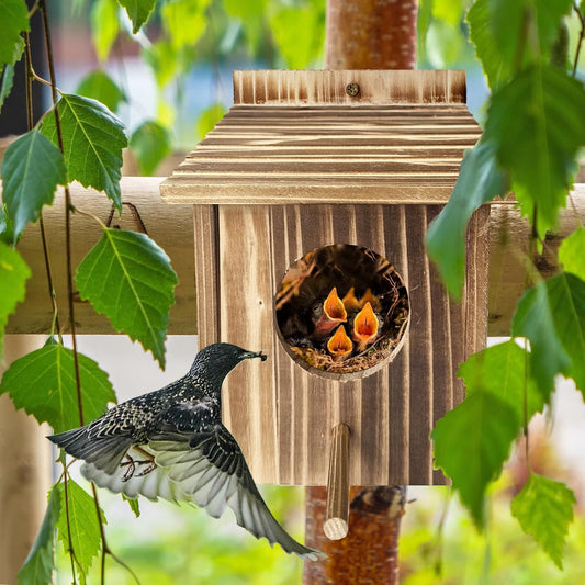 Bird House for Garden Wooden Bird Houses with House Pole birdhouses for Outside Bluebird Cardinals Hanging Birdhouse for Outdoors Hanging or Wall Mount
