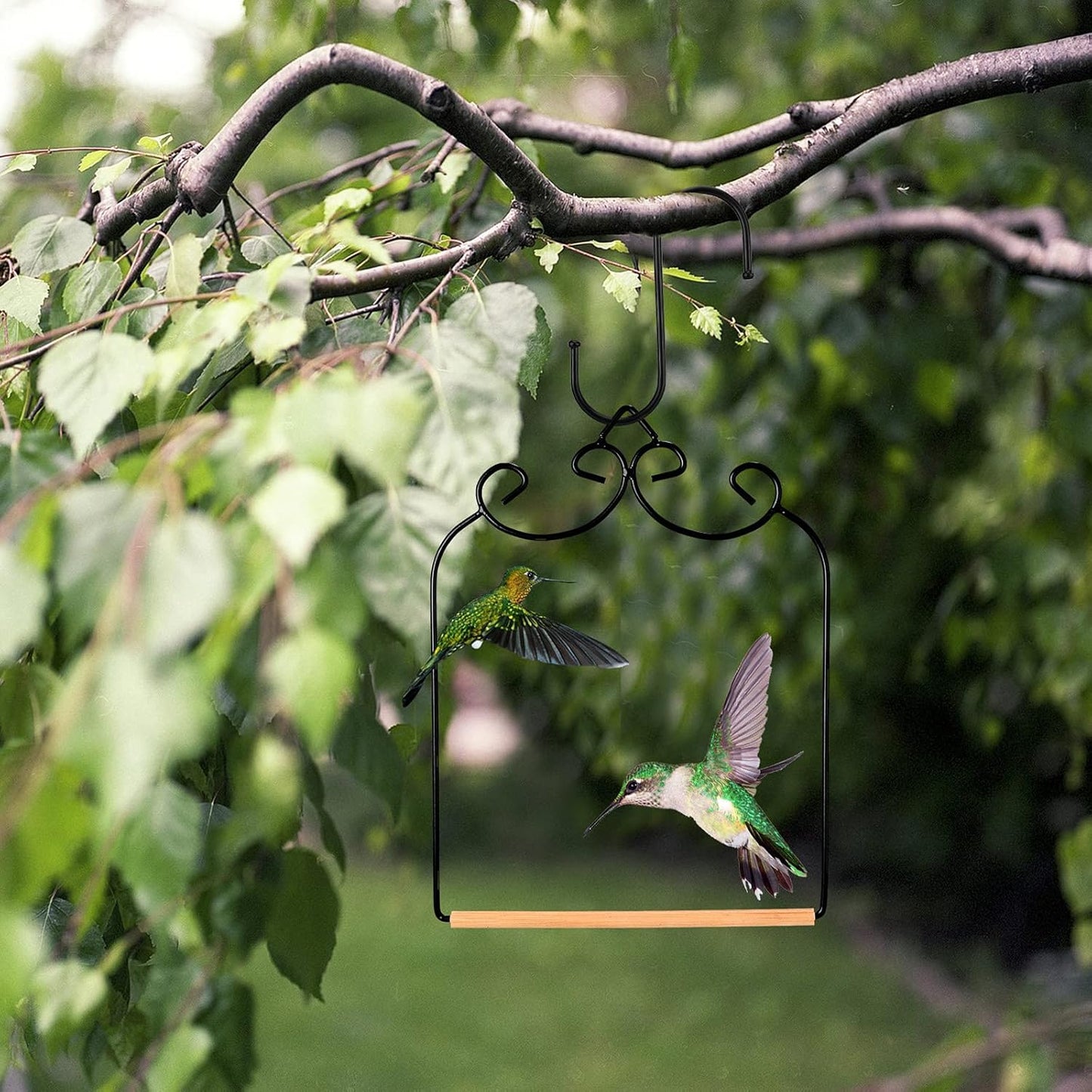 Ripeng 2 Pack Hummingbird Swing Humming Bird Perch with Wooden Dowel Attach to Bird Feeders Black Iron S Shaped Hook for Hanging Indoor Office Outdoor Trunk Feeder