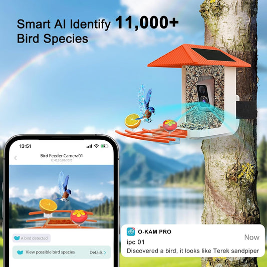 2.5K Smart Bird Feeder with Camera with AI Identify 10000+ Birds Speci