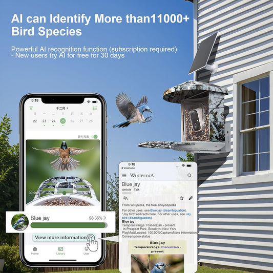 DCT Smart Bird Feeder with Camera: Christmas Gift & Stocking Stuffer for the Whole Family - 1080P HD & AI Identifies 11000+ Birds - Perfect Discovery Gift for Grandparents Parents & Kids Ages 2-12