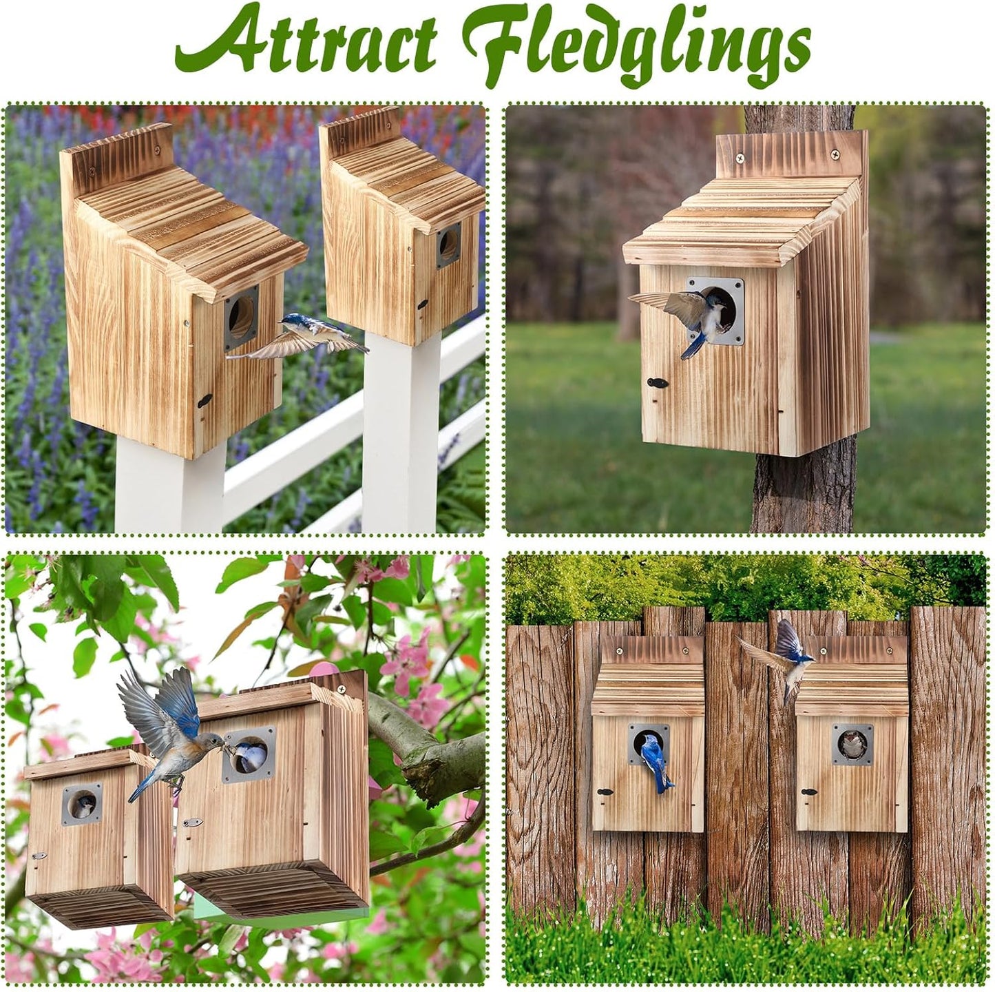 Dreyoo 2 Pack Cedar Bluebird Box Houses for Outside, 1-1/2” Entrance Hole Wooden Bird Houses with Metal Predator Guard, Secure Latch, Fledgling Grooves, Air Vents for Bluebird Wren Swallow Finch